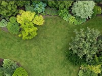 3 señales de que su jardín necesita una reforma urgente