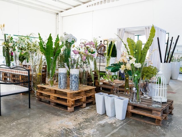 5 ideas para regalar plantas originales en ocasiones especiales