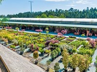 6 frutos que puede cultivar en Galicia en verano