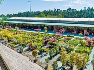 6 frutos que puede cultivar en Galicia en verano