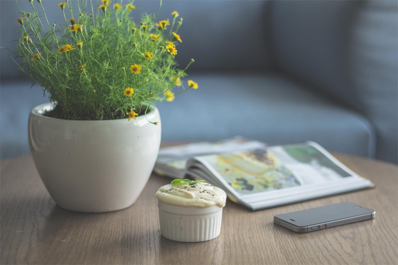 Amplia variedad de macetas y jardineras - Imagen 1