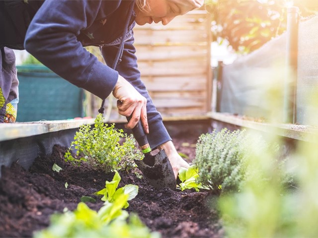 ¿Cómo crear un huerto urbano?