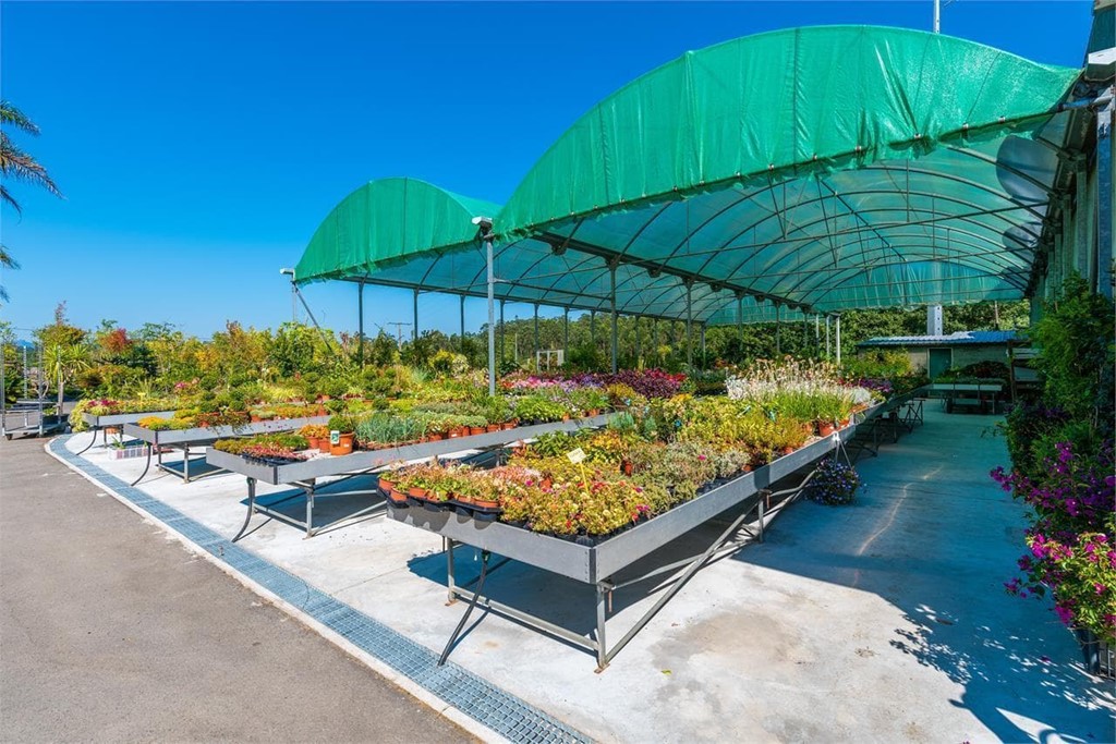 Cómo elegir las mejores plantas para su jardín según la época del año