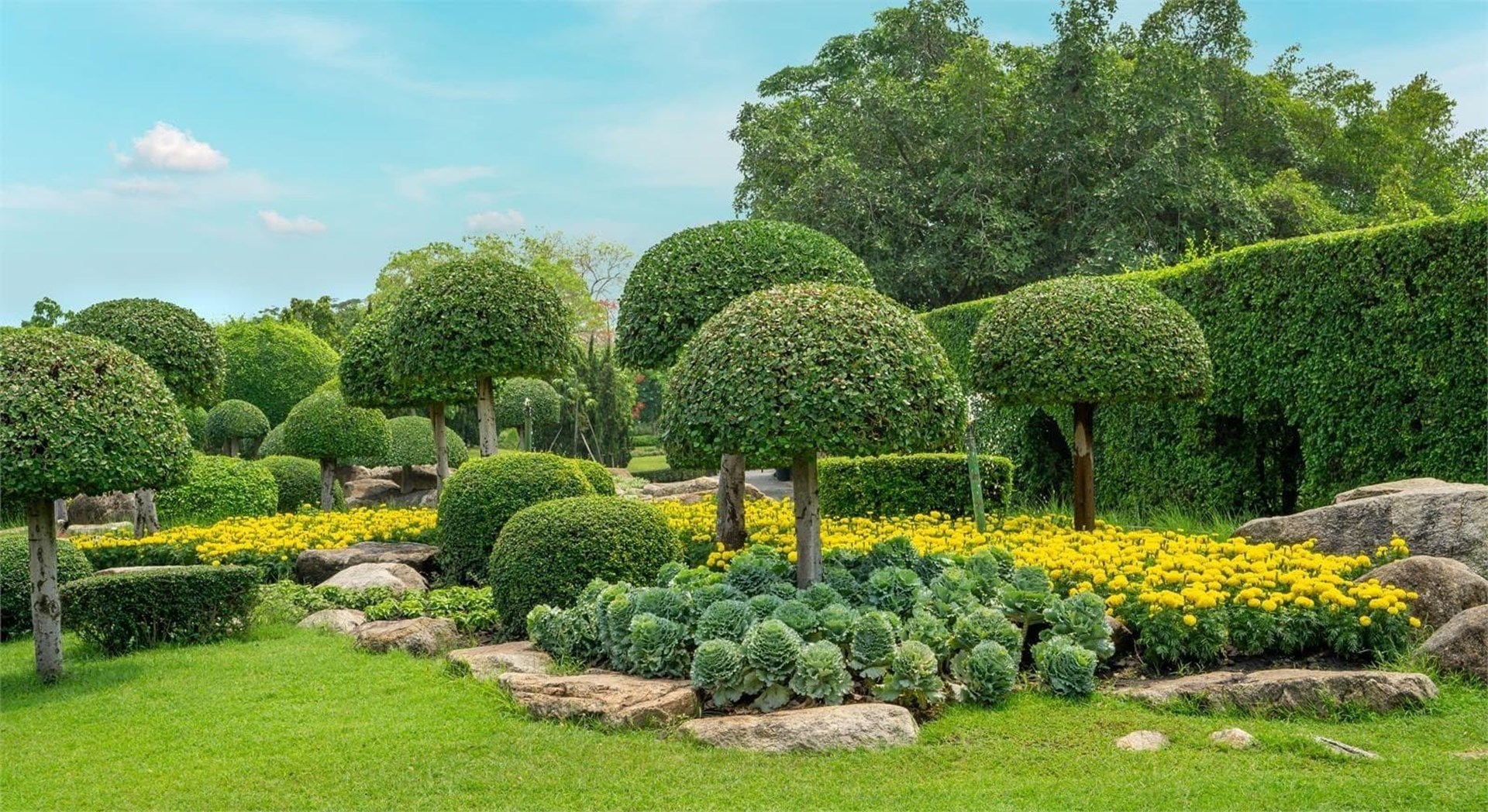 ¡Conozca las últimas tendencias en diseño de jardines!