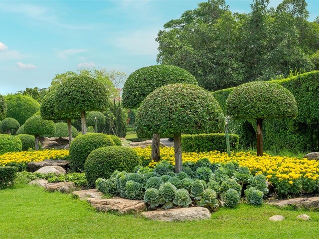 ¡Conozca las últimas tendencias en diseño de jardines!