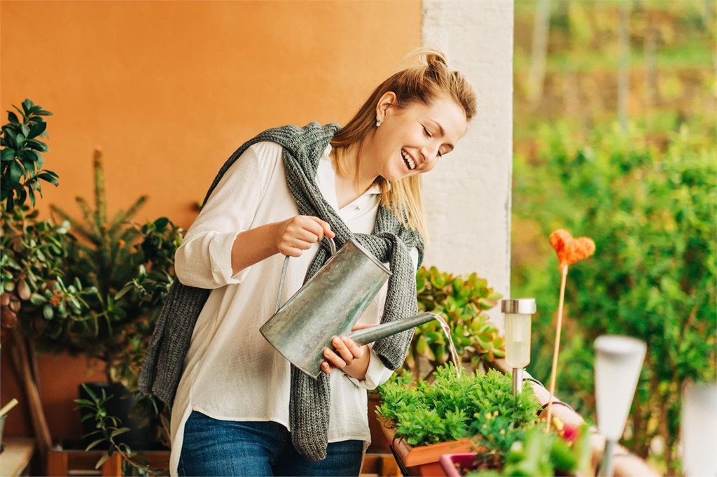 Cuidados para las plantas en verano 