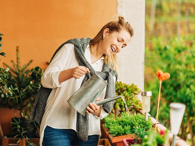 Cuidados para las plantas en verano 