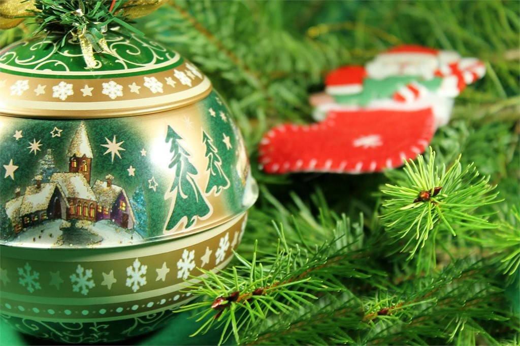 Decore su Navidad con plantas