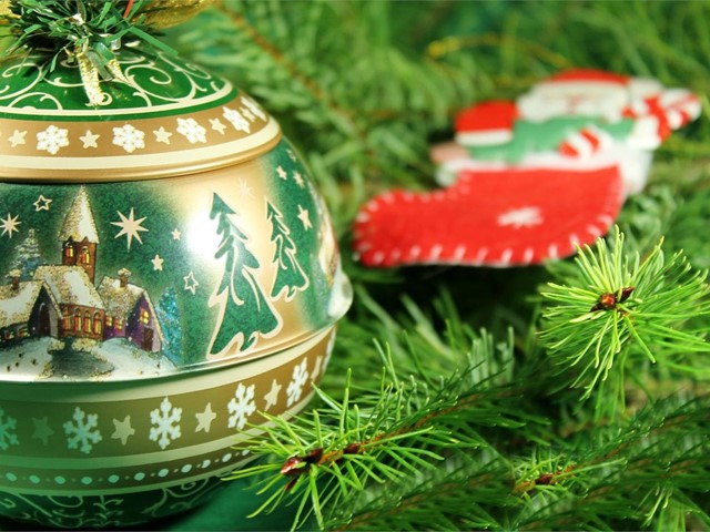 Decore su Navidad con plantas