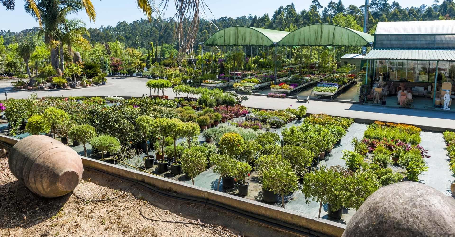 Jardinería y vivero de plantas en Ribadumia y Pontevedra