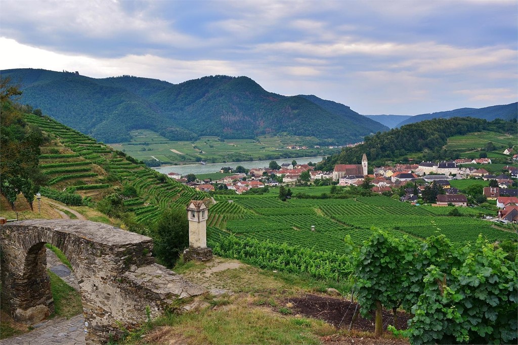 El cuidado del terreno, factor clave para un albariño de calidad