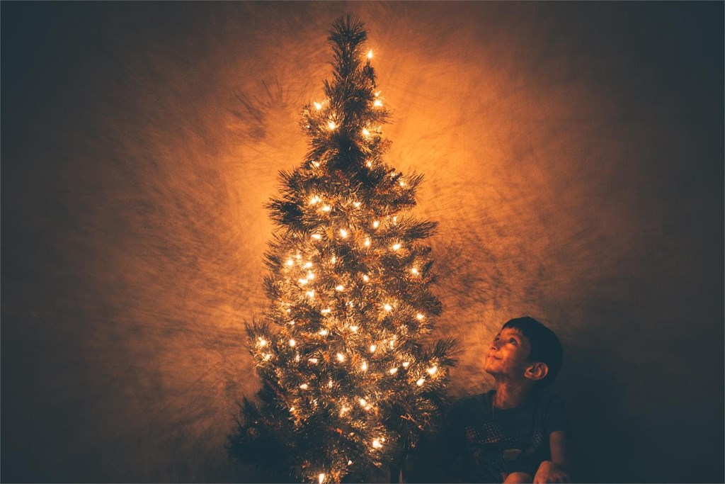Elije tu árbol de Navidad perfecto en Viveiros O Barreiro