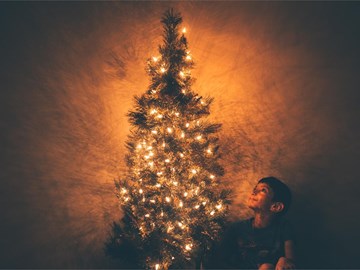 Elije tu árbol de Navidad perfecto en Viveiros O Barreiro