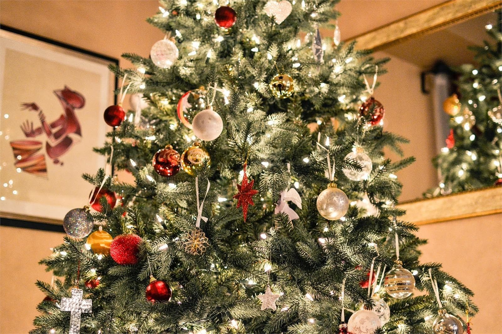 Encuentre las mejores plantas de Navidad en Viveros O Barreiro - Imagen 1