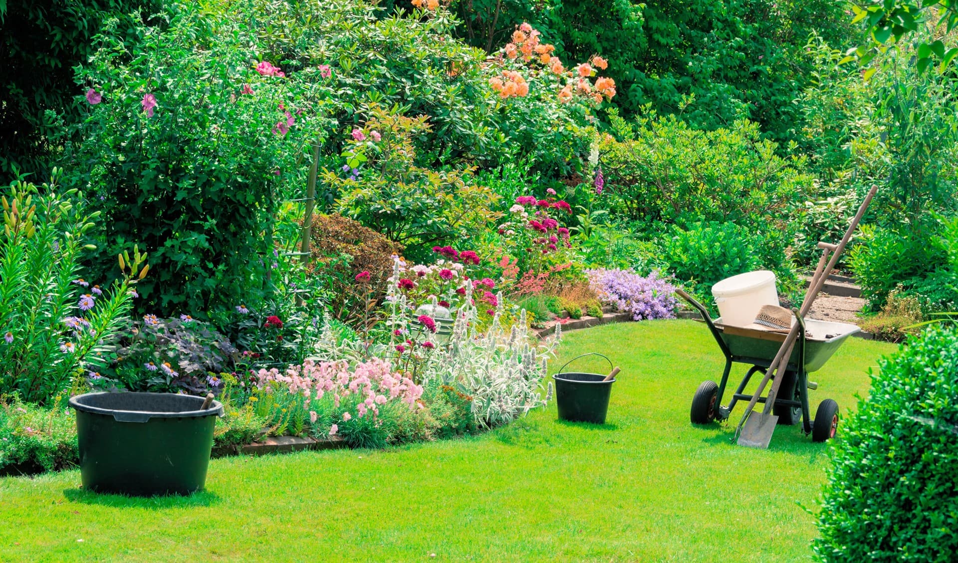 Especialistas en el diseño de jardines en Ribadumia
