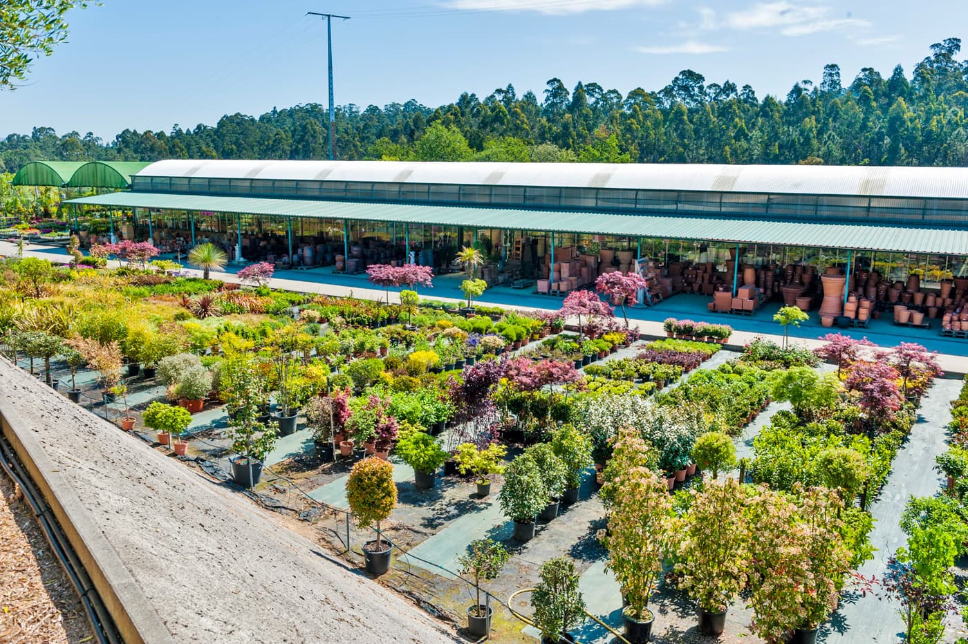 Empresa de jardinería