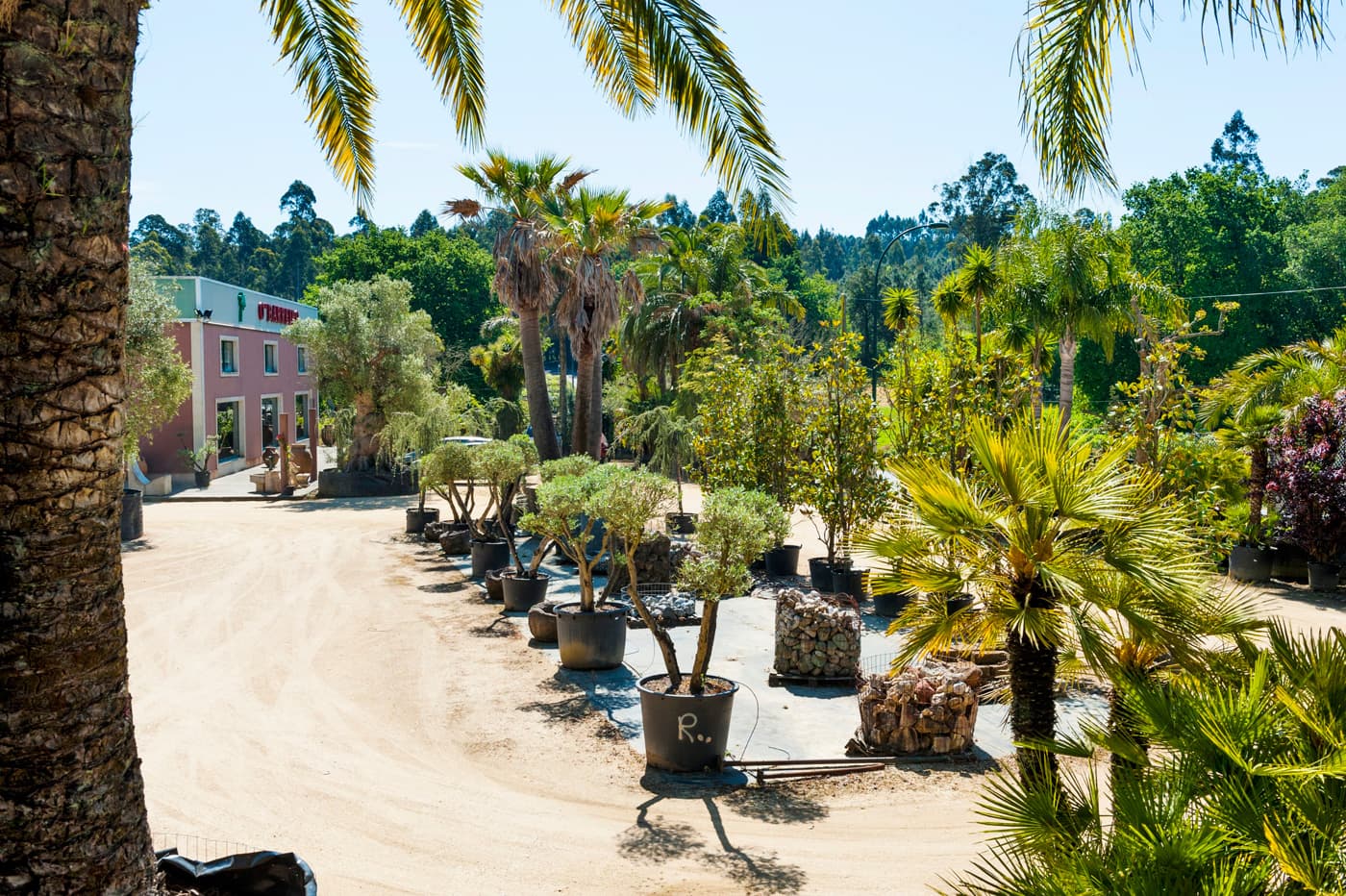  jardineros que se adaptan a cualquier clase de proyecto