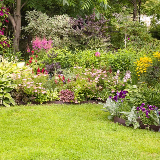 Lo que buscas en mantenimiento y diseño de jardines en Pontevedra