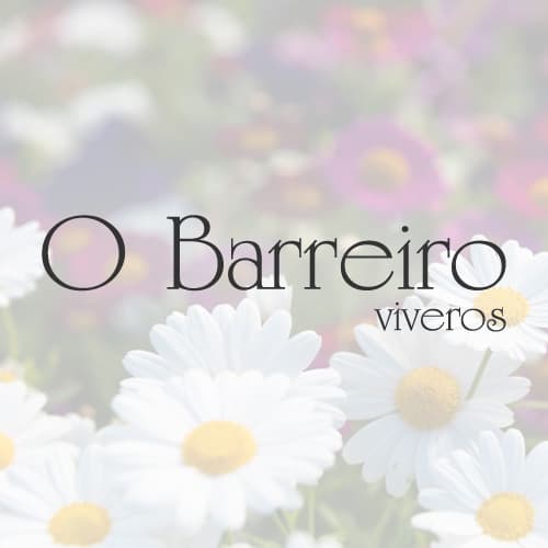 Viveros O Barreiro, tiendas de muebles en Portarís