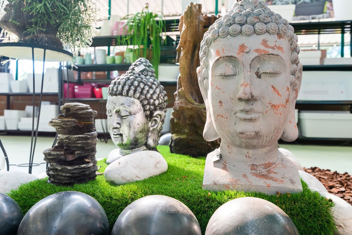 ¡No esperes más y visita nuestra tienda de plantas en Pontevedra!