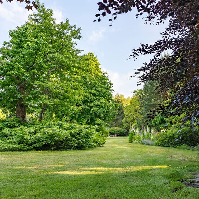 Noticias y consejos sobre jardinería en Ribadumia