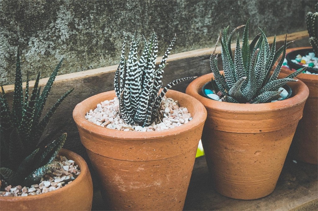 La decoración perfecta para su jardín