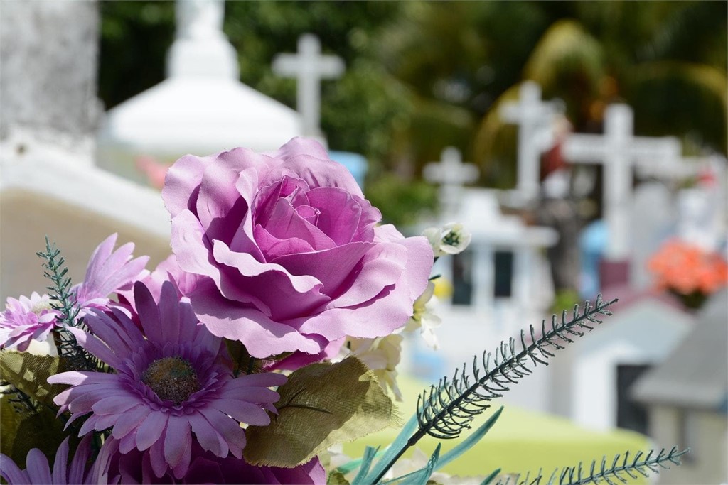 Las flores más populares para el día de los difuntos y sus significados