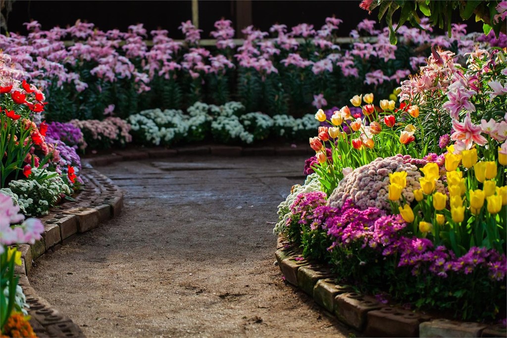 ¡Llene de color su jardín con las plantas de esta temporada!