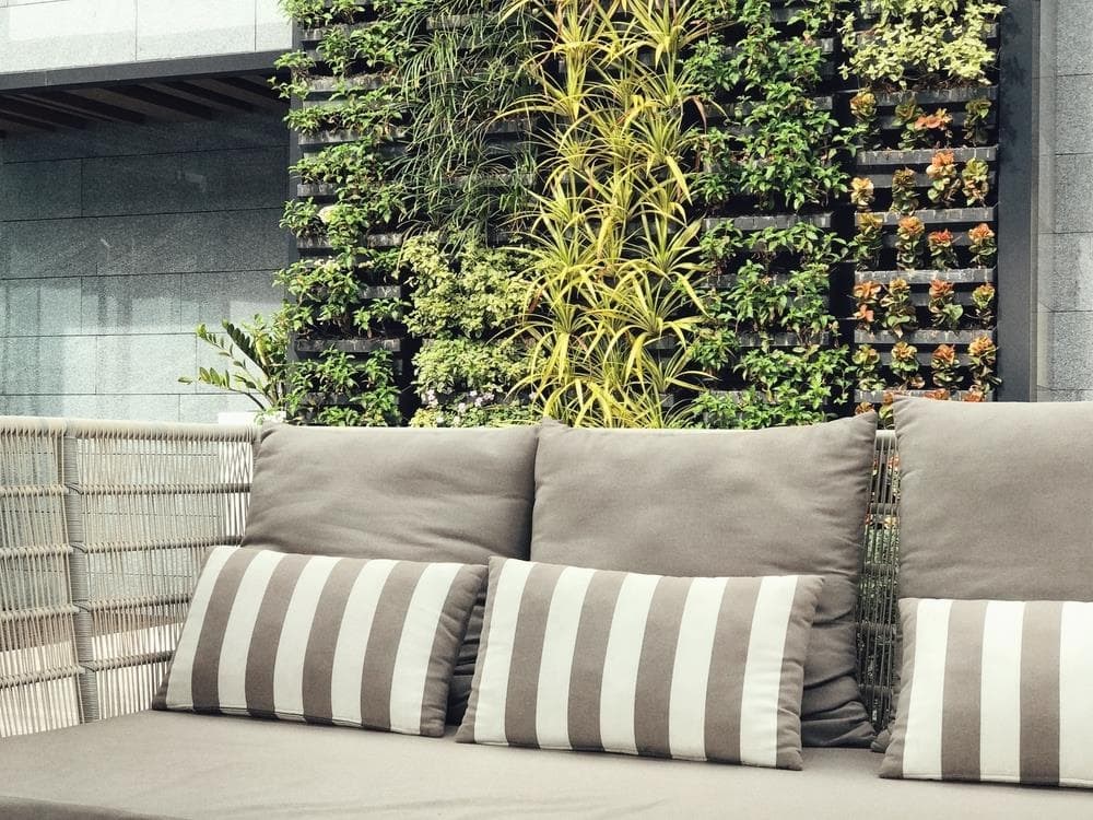 Los beneficios de tener un jardín vertical en su casa o negocio