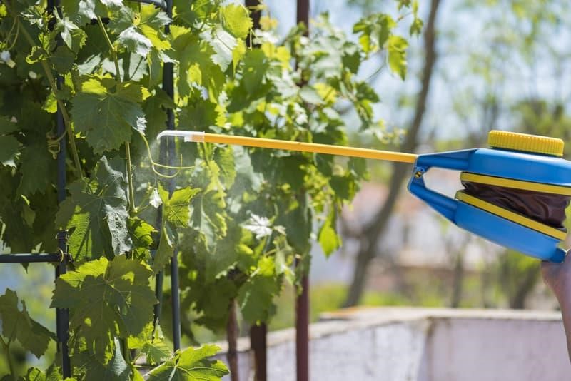 Los mejores materiales de jardinería para cada proyecto