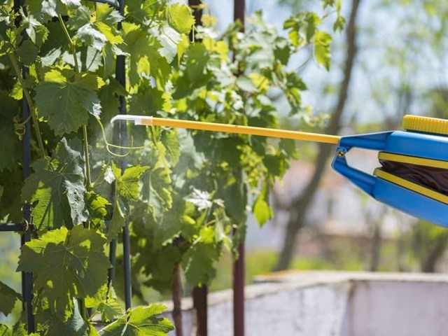 Los mejores materiales de jardinería para cada proyecto