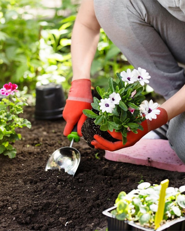 Los mejores trabajos de jardinería en Ribadumia
