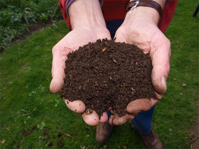 Prepare el terreno, abone su jardín