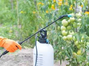 ¿Qué son los fitosanitarios y cómo usarlos correctamente para prevenir y combatir las plagas? 